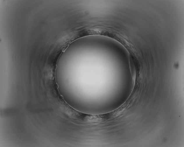 X0000091520331200708171221