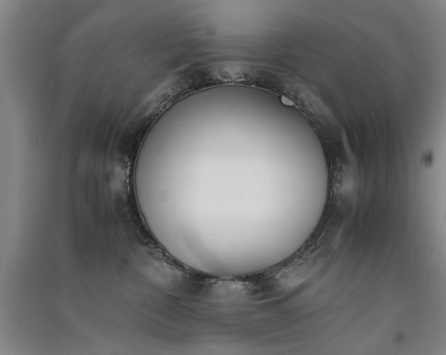 X0000091520332200708171221