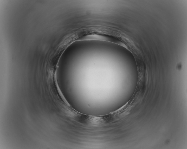 X0000091520333200708171221
