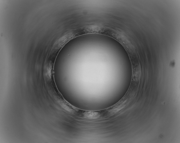 X0000091520334200708171221