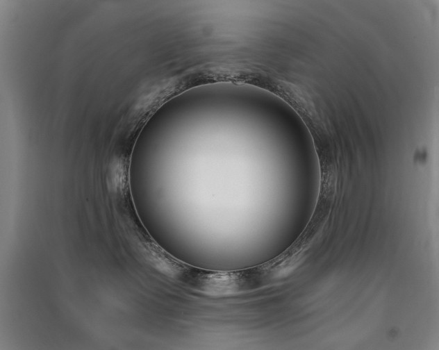 X0000091520335200708171221