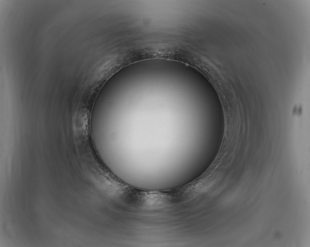 X0000091520336200708171221