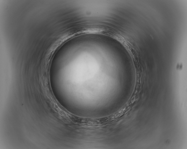 X0000091520337200708171221