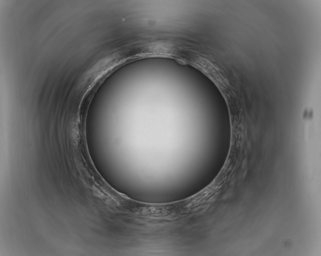 X0000091520338200708171221