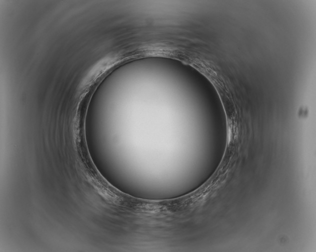 X0000091520339200708171221