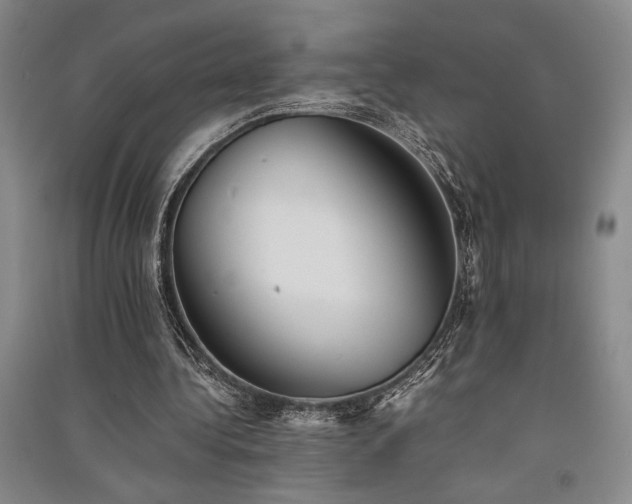 X0000091520340200708171221