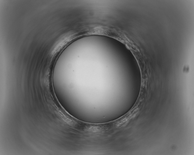 X0000091520341200708171221
