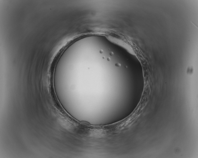 X0000091520342200708171221