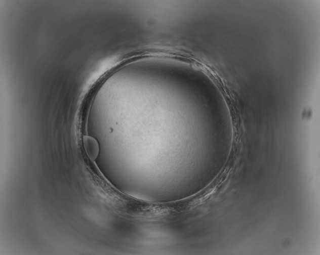 X0000091520343200708171221