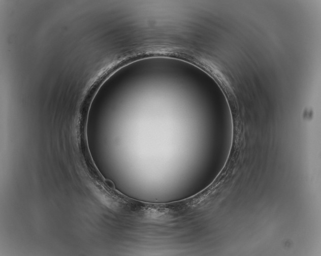 X0000091520346200708171221