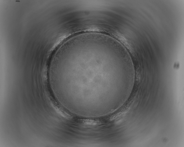 X0000091520347200708171221