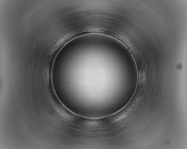 X0000091520349200708171221