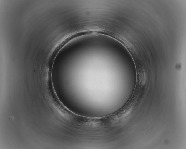 X0000091520350200708171221