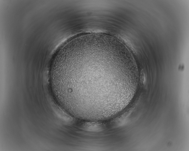 X0000091520351200708171221