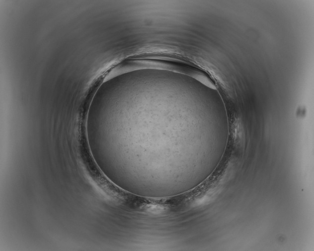 X0000091520352200708171221