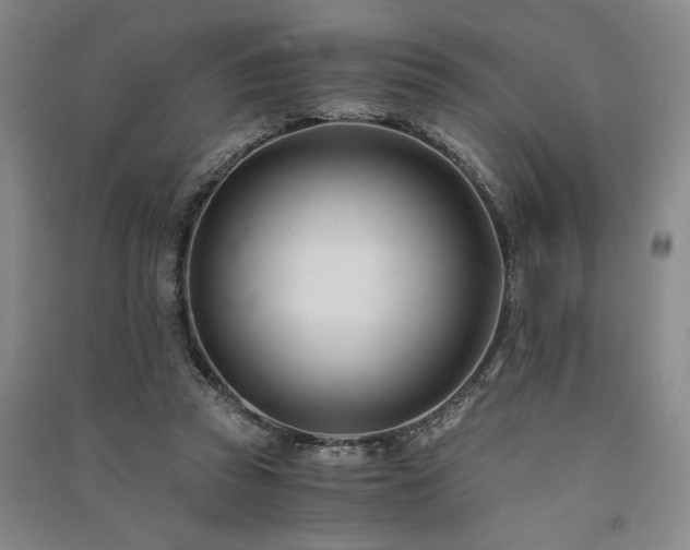 X0000091520353200708171221