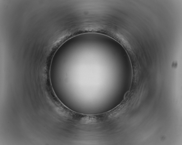 X0000091520354200708171221