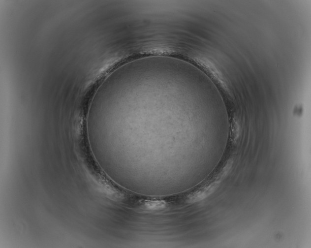 X0000091520355200708171221