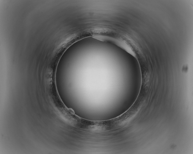 X0000091520356200708171221