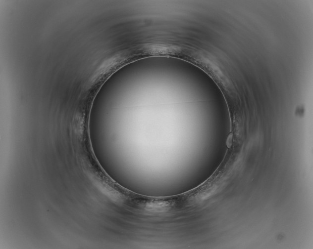 X0000091520357200708171221
