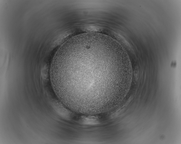 X0000091520359200708171221