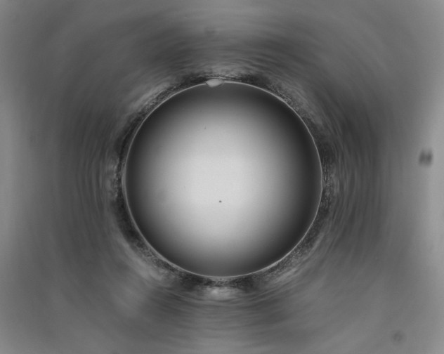 X0000091520360200708171221