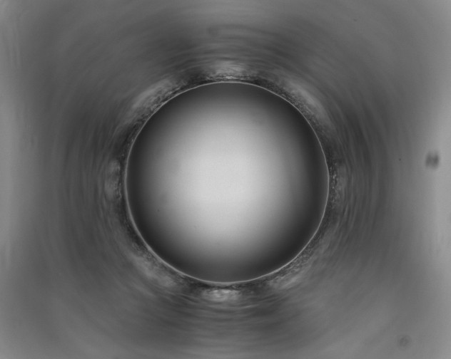 X0000091520361200708171221