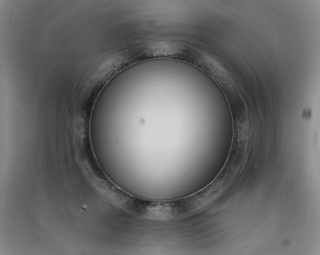 X0000091520362200708171221