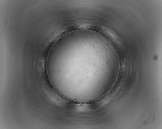 X0000091520363200708171221