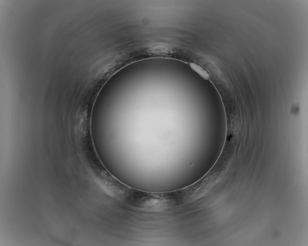 X0000091520364200708171221