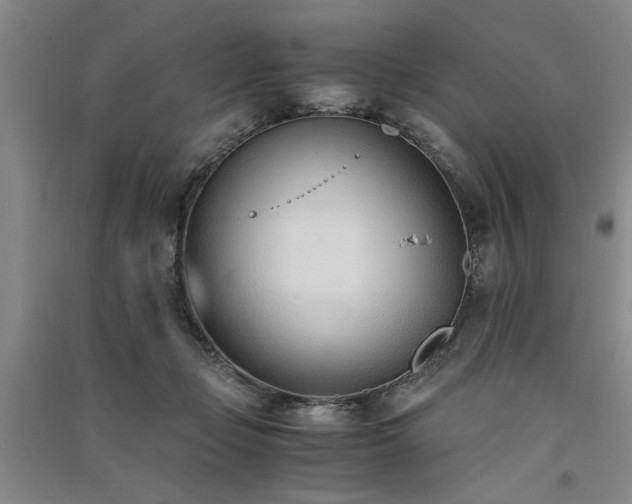 X0000091520365200708171221