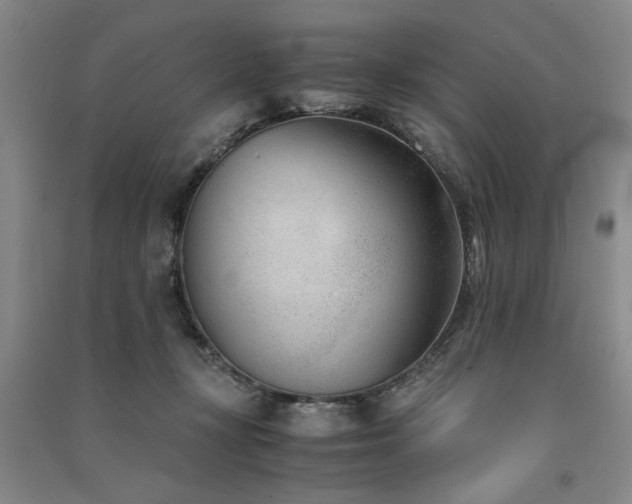 X0000091520367200708171221