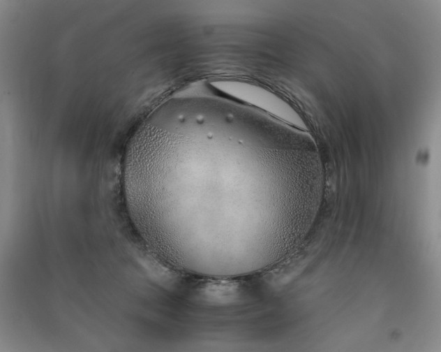 X0000091520369200708171221