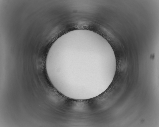 X0000091520370200708171221
