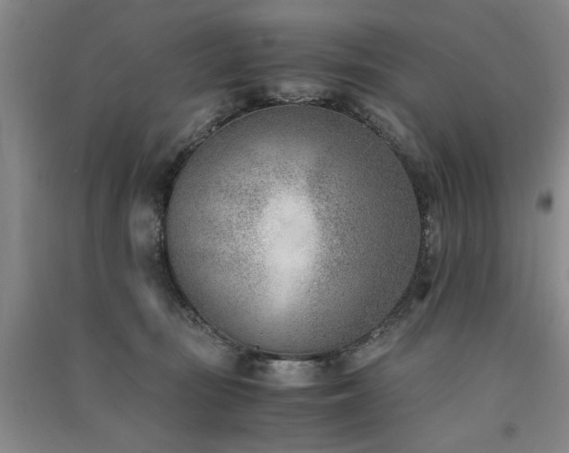 X0000091520371200708171221