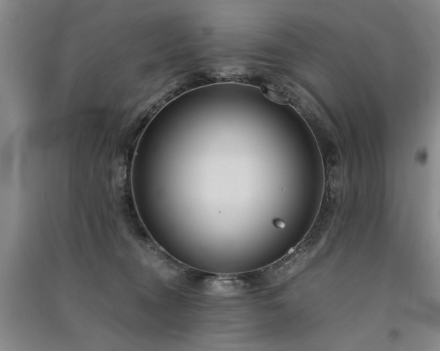 X0000091520372200708171221