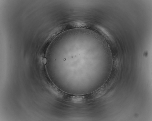 X0000091520373200708171221