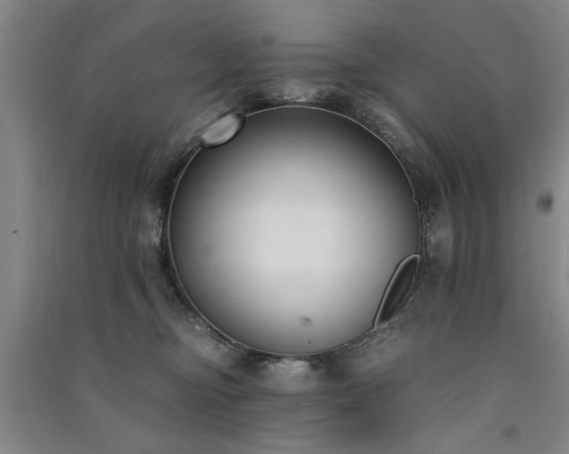 X0000091520374200708171221