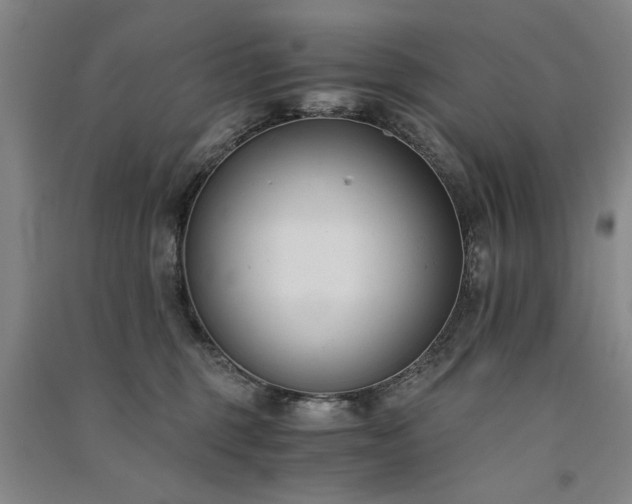 X0000091520375200708171221