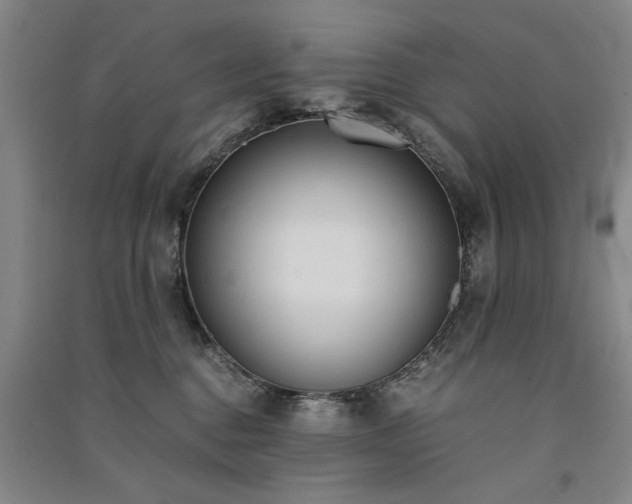X0000091520376200708171221
