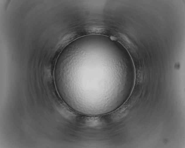 X0000091520377200708171221