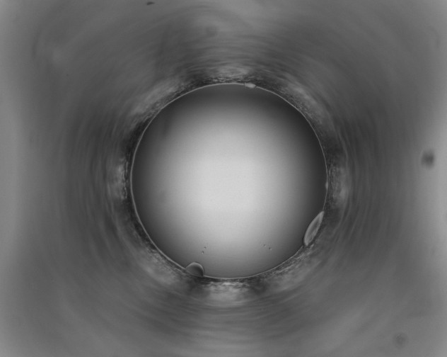 X0000091520378200708171221