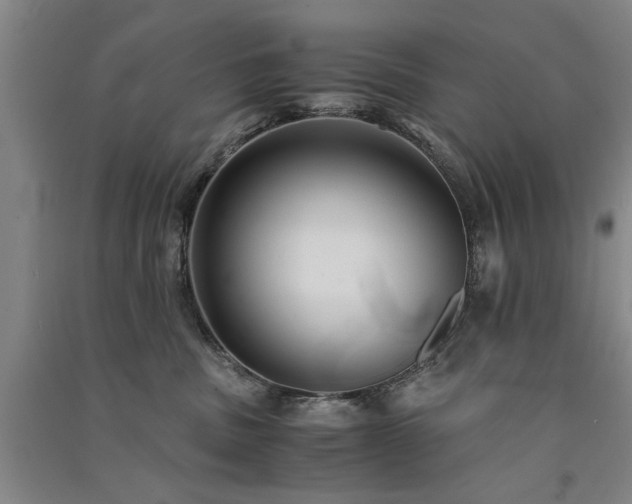 X0000091520379200708171221