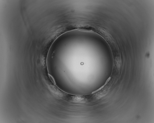 X0000091520380200708171221