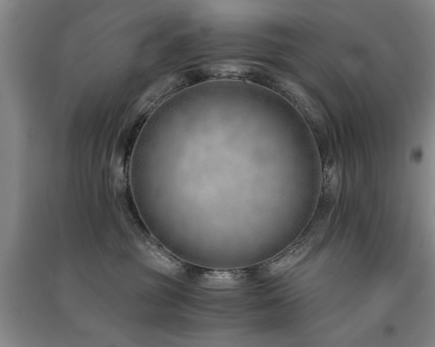 X0000091520381200708171221