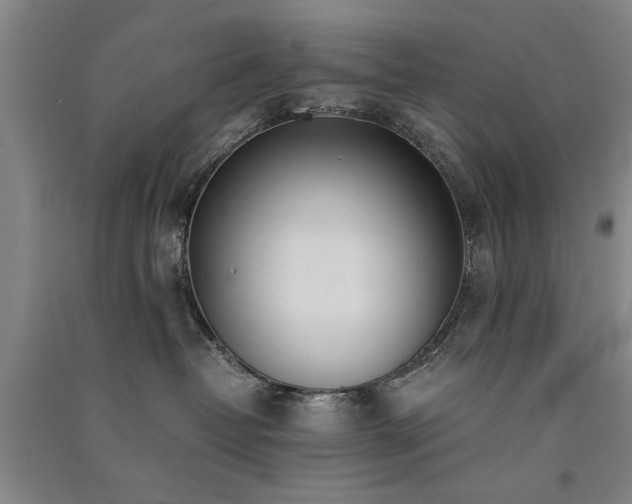 X0000091520382200708171221
