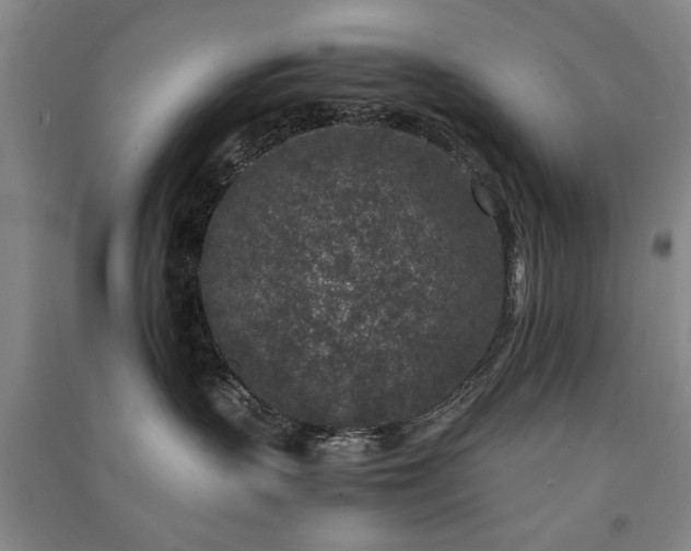 X0000091520383200708171221