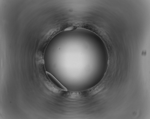 X0000091520384200708171221