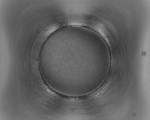 X0000091520385200708171221