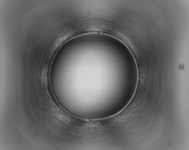 X0000091520386200708171221